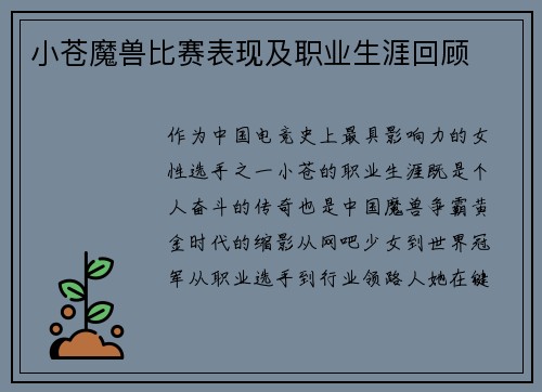 小苍魔兽比赛表现及职业生涯回顾